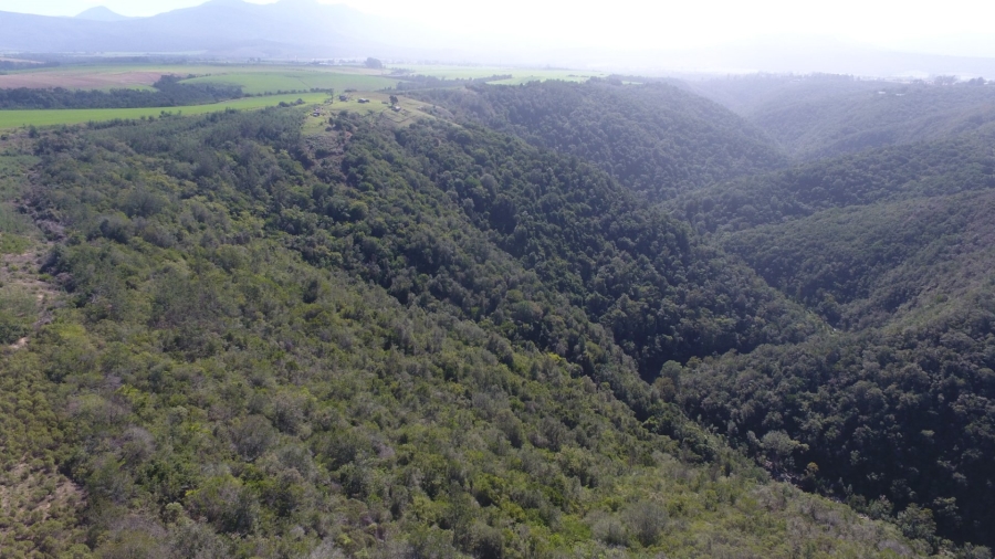  Bedroom Property for Sale in Knysna Rural Western Cape